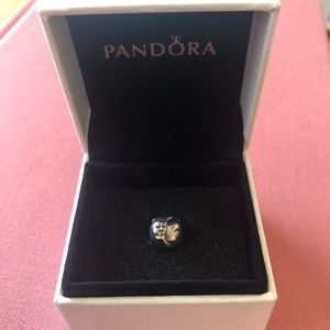 Pandora charm